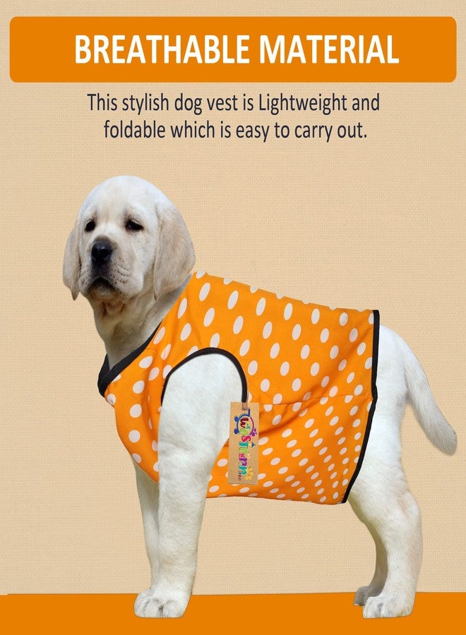 Western Era Funky Soft Cotton Dog T-Shirt | Comfortable & Breathable Dog Clothing | Sleeveless Vest Puppy Outfit |(Polka Orange) (XLarge) (24inches) - Image 2